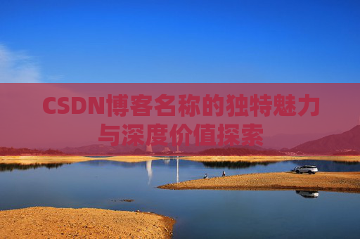 CSDN博客名称的独特魅力与深度价值探索